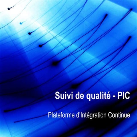 Suivi de qualité PIC afup2010