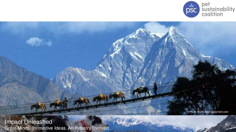 himalayan mountain chews