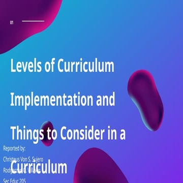 Sujero-Villaver-Curriculum Level and Things to Consider.pptx