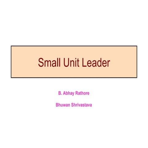 SMALL UNIT LEADER | PPT
