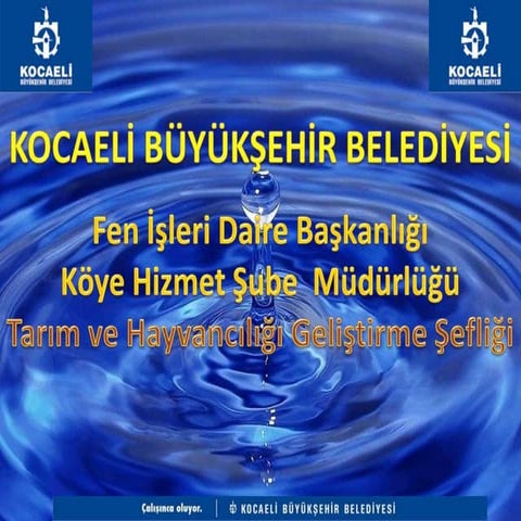 Sulama | PDF