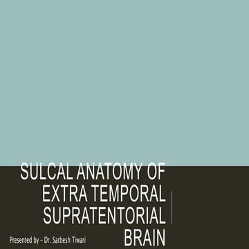 Sulcal anatomy supratentorial brain, excluding the temporal lobe.