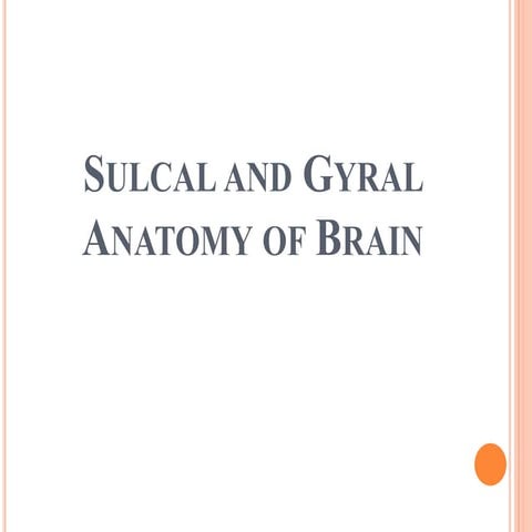 Sulcal and gyral neuroanatomy