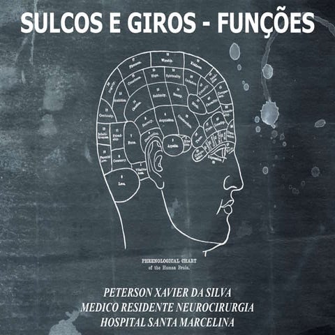 Sulcos e giros - Anatomia Aplicada