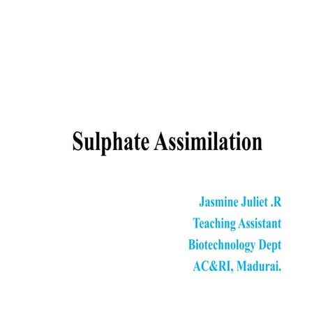 Sulfate assimilation