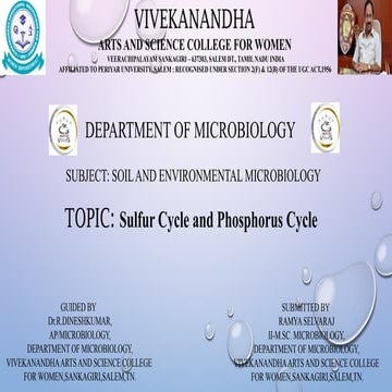 sulfer and phosphures cycle [Autosaved].pptx