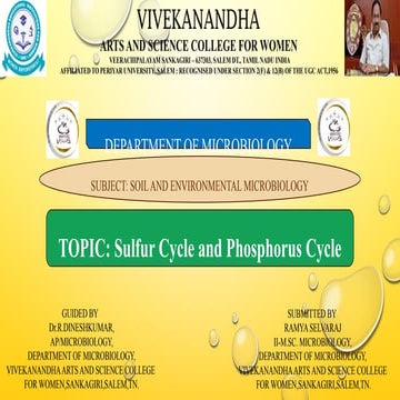 sulfur and phosphorus cycle  - soil and environmental microbiology