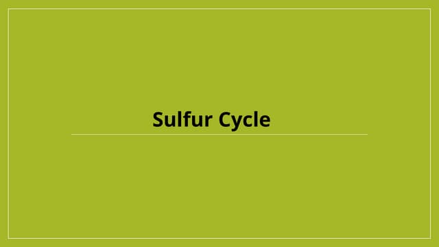 environmental science 7 sulfur cycle.pptx