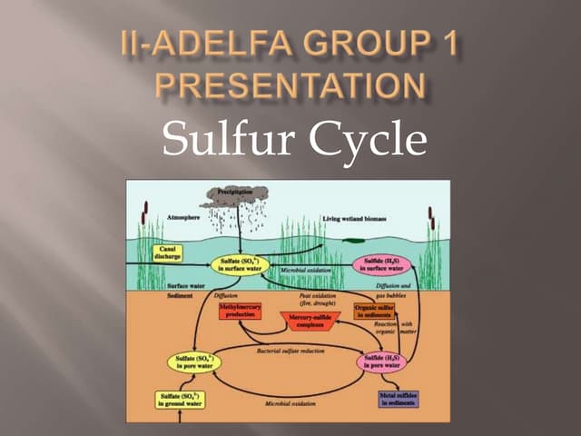 Sulfur cycle