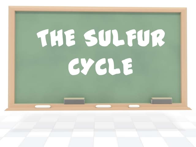 Sulfur cycle