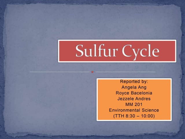 Sulfur cycle