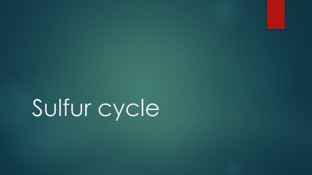 The sulfur cycle for presentation on science