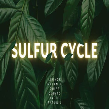 Sulphur cycle(Ecology) by Muhammad Ramzan.pptx