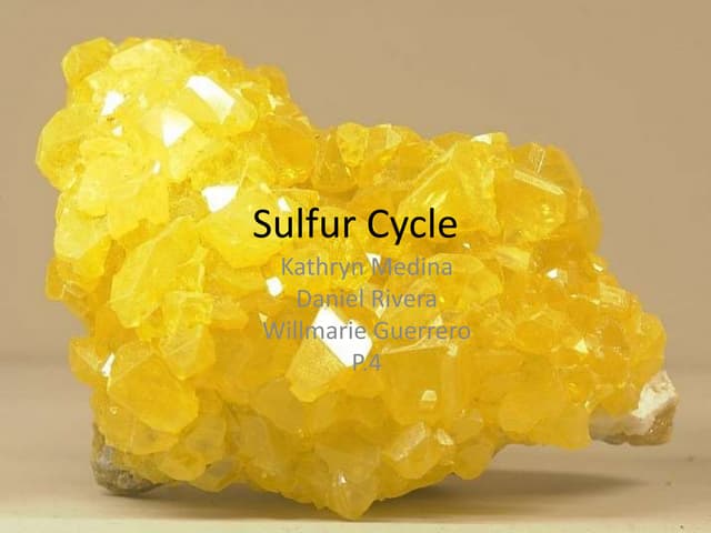 Sulfur cycle PERIOD 4