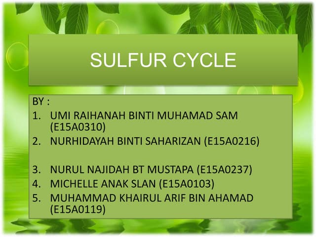 Sulfur cycle presentation