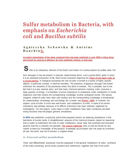 Sulfur metabolism in bacteria