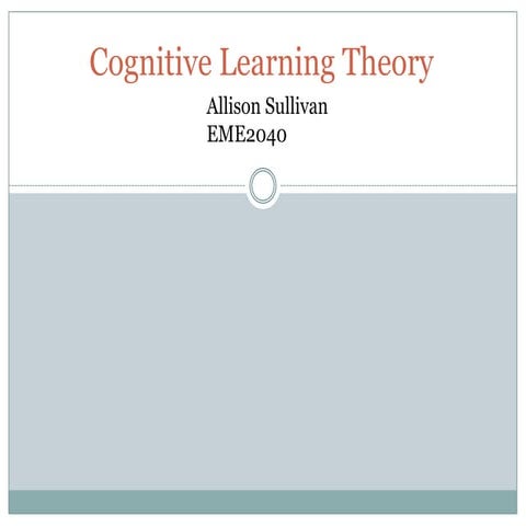 Sullivan theory