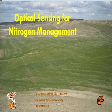 Optical sensing for N management