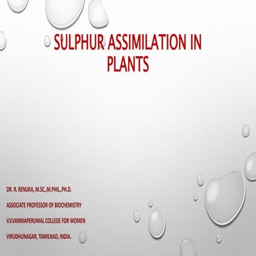 Sulphur assimilation in plants
