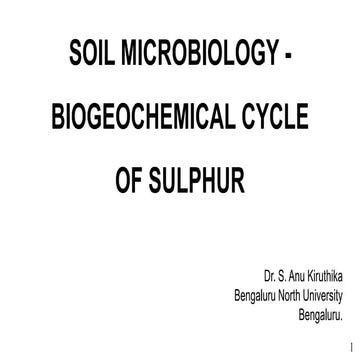 Sulphur cycle