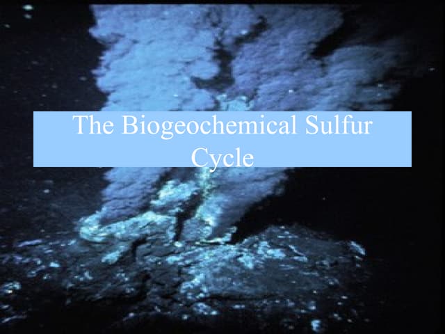 SULPHUR CYCLE Biogeo chemical cycle......