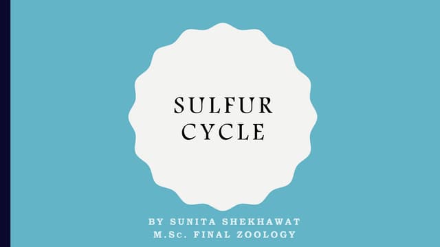 Sulphur cycle1