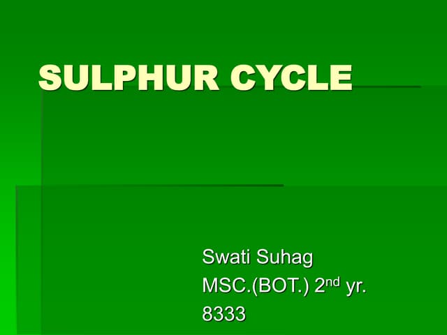 Sulphur cycle 