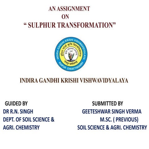 Sulfur Transformation