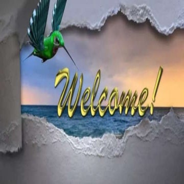 Game Theory - Dominance Strategy