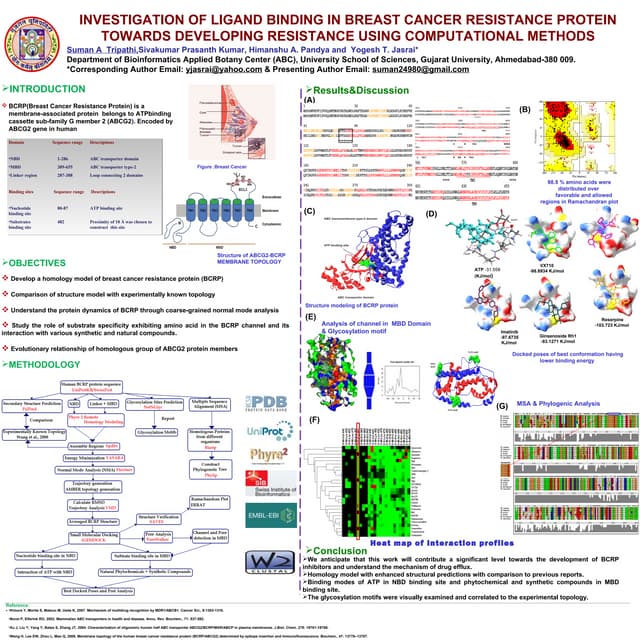 Breast Cancer Resistance Protein