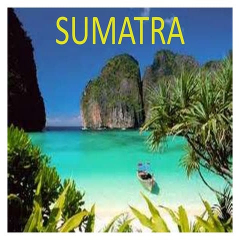 Sumatra | PPTX