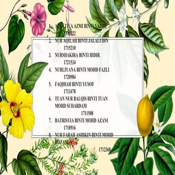 Sumbangan tamadun islam kepada tamadun india