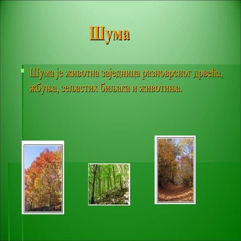 Шума - природно станиште