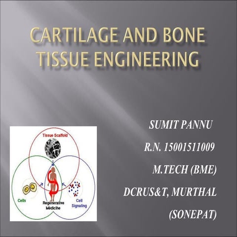  bone and_cartilage_tissue_engineering by Sumit