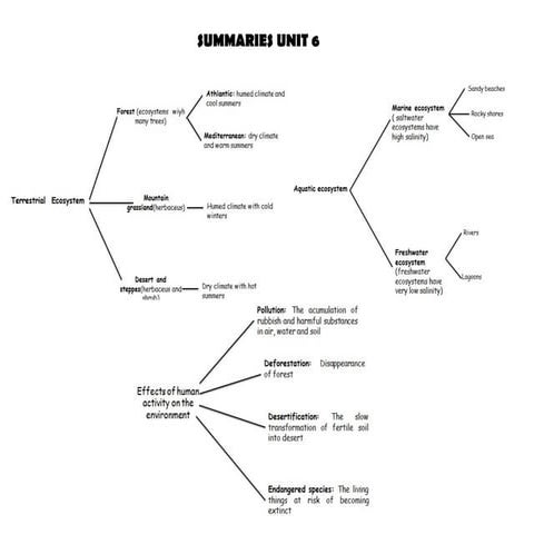 Summaries unit 6