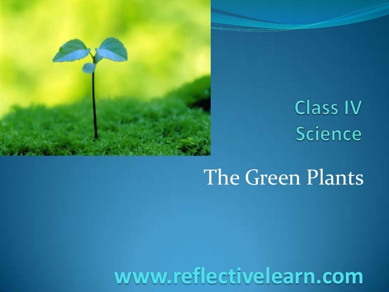Class IV Green plants