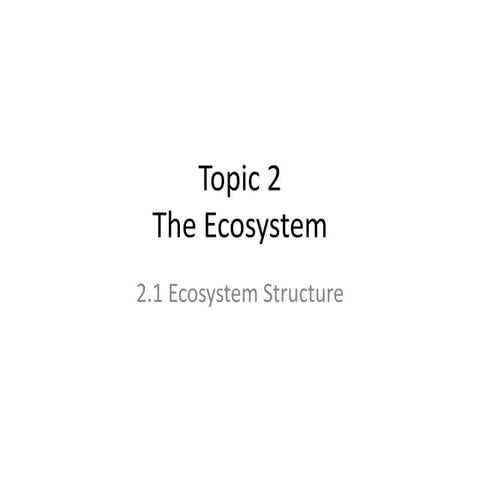 Summary of topic 2.1 | PPTX