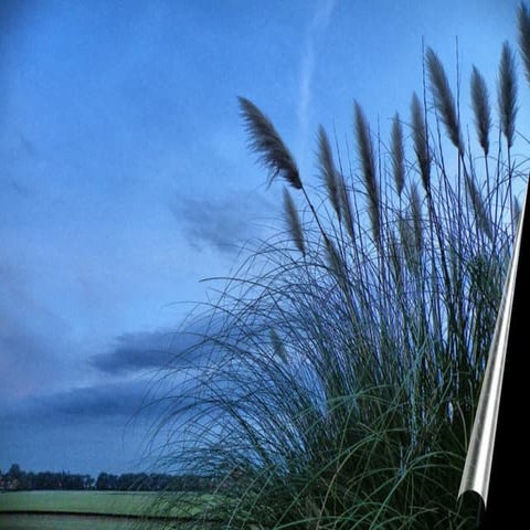 Summer´s shots (hdr) in Argentina