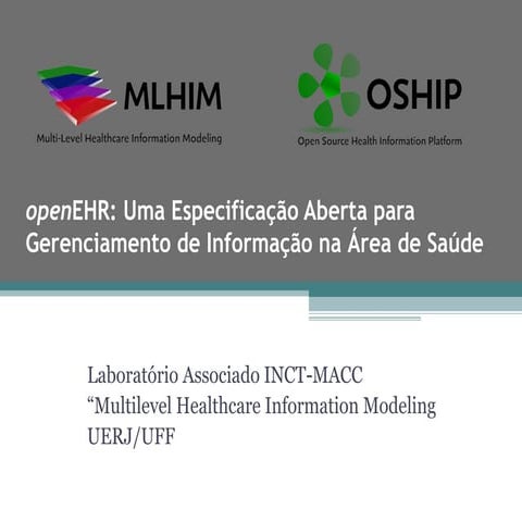 Presentation Minicourse for Summer Program  LNCC 2010