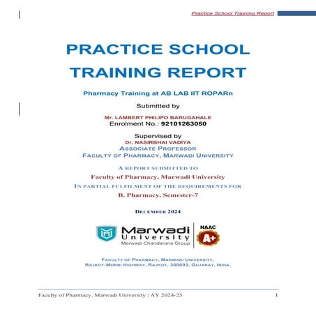 Summer Intern Report Lambert P FINAL.pdf