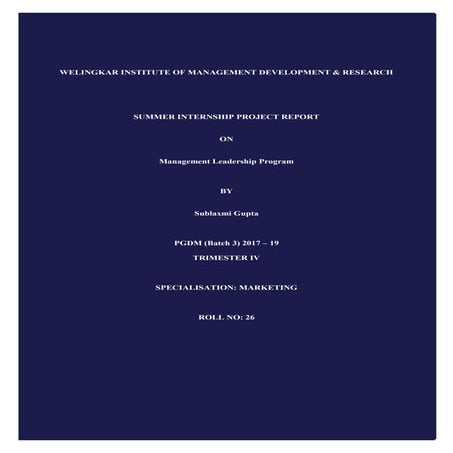 Summer internship - Report