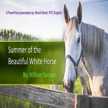Summer of the beautiful white horse