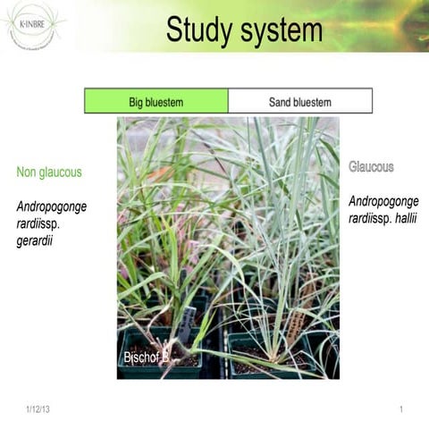 Multi-k-mer de novo transcriptome assembly and assembly of assemblies using 4...