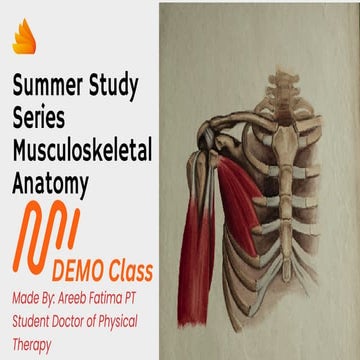 Summer Study Series Musculoskeletal Anatomy.pdf