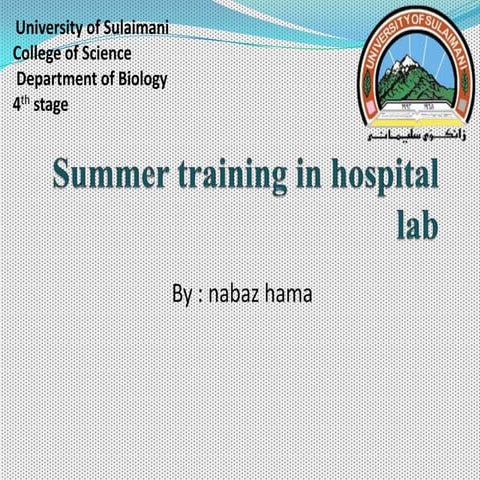 Summer training in hospital lab