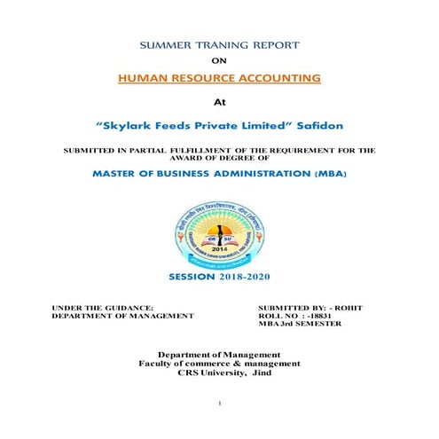 Summer Training Report on Human Resources Accounting at Skylark Pvt.Ltd