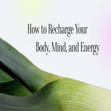 Summer Wellness Reset: How to Recharge Your Body, Mind, and Energy This ...