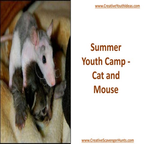 Summer Youth Camp - Cat and Mouse