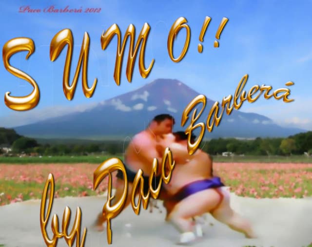 Sumo Japón  by Paco Barbera