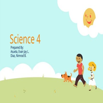 Presentation about the sun and its characteristics.